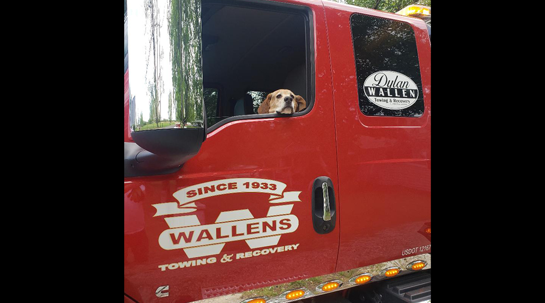 Wallens fleet truck eleven